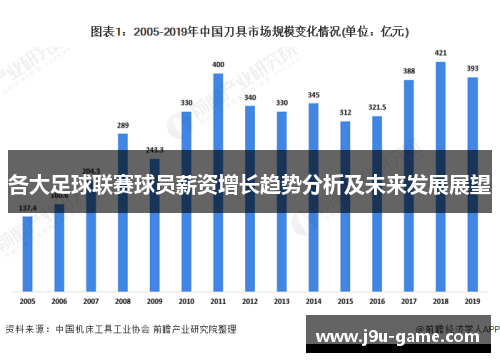 各大足球联赛球员薪资增长趋势分析及未来发展展望