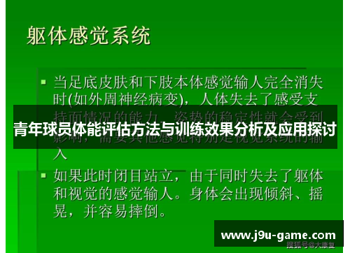 青年球员体能评估方法与训练效果分析及应用探讨
